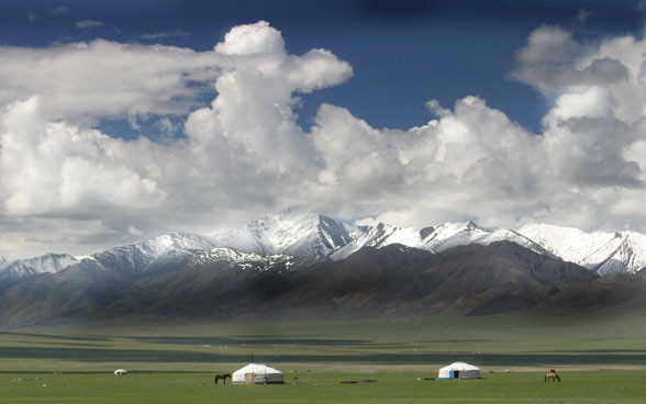 Des pâturages en Mongolie.