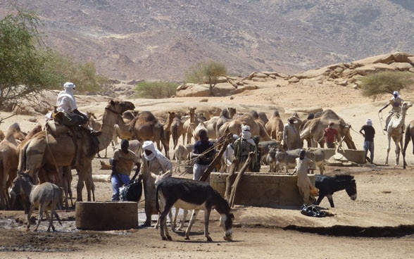Menschen und ihre Kamele und Maultiere versammeln sich bei einer Wasserstelle im Tschad.