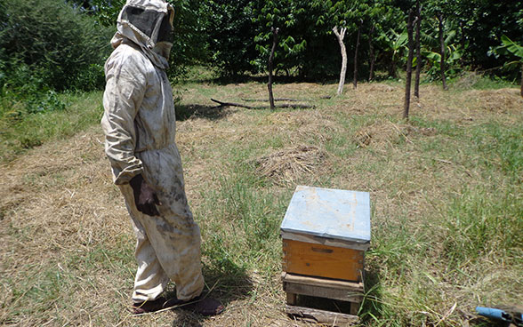 A beekeeper in Darfur in Sudan, standing beside a wooden box full of bees. 