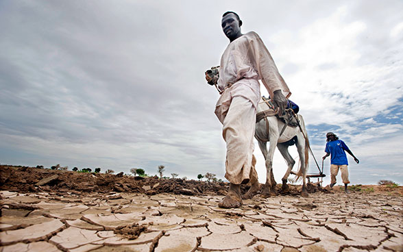 Au Darfour, deux paysans labourent un champ desséché. 