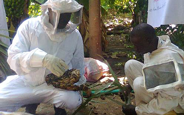 A beekeeper in Darfur in Sudan explaining something to another beekeeper with the help of a honeycomb.