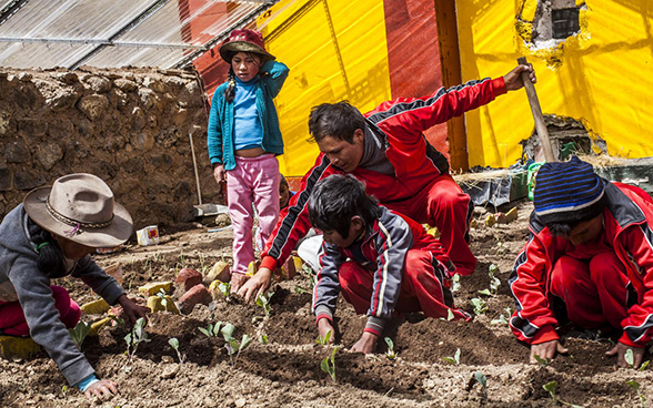 Four children and a man work in a covered vegetable garden.