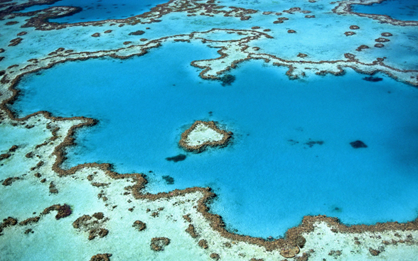Das Bild ist ein Foto des Great Barrier Reefs, das von oben aufgenommen wurde.