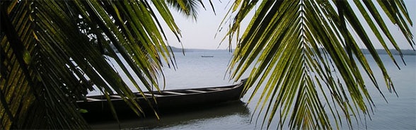 Immagine di un paesaggio con palme e una piroga sull'acqua
