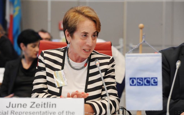 La rappresentante speciale della presidenza in esercizio svizzera per le questioni di genere, June Zeitlin, presiede il gruppo di lavoro di alto livello in apertura della prima Conferenza di revisione sull’uguaglianza di genere mai organizzata