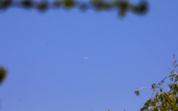 Toujours haut dans le ciel : l'avion d’Edelweiss en provenance de Guatemala City/San José est entré vendredi vers midi dans l'espace aérien suisse près de Bâle, quelques minutes seulement avant d'atterrir à Zurich. 