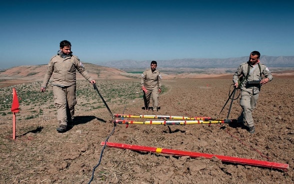 Three men in overalls scan the ground of a field for mines.