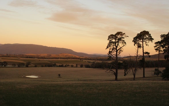 Le domaine viticole de Yeringberg, situé dans les collines de la Yarra Valley, appartient à la famille De Pury, dont la 4e génération produit un vin renommé.