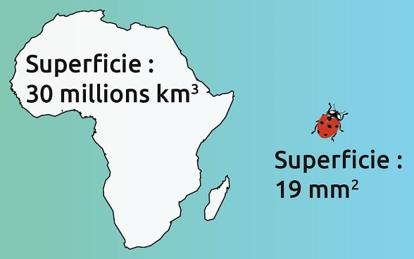 Illustration montrant le rapport entre 15 quintillions USD et 96 trillions USD. 