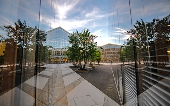 View of two glass facades of the H-building with a tree in the middle.