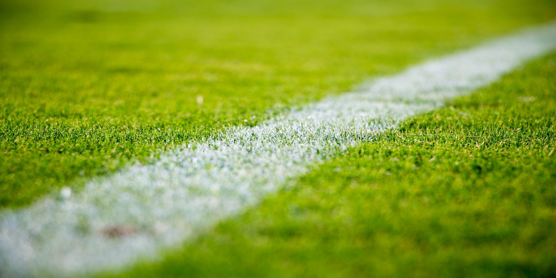 Gros plan sur une ligne blanche tracée sur le gazon d’un terrain de football. 