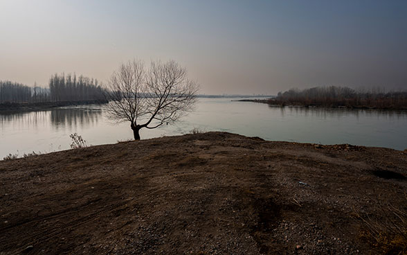 Paysage avec une étendue d’eau et un arbre sec au premier plan.