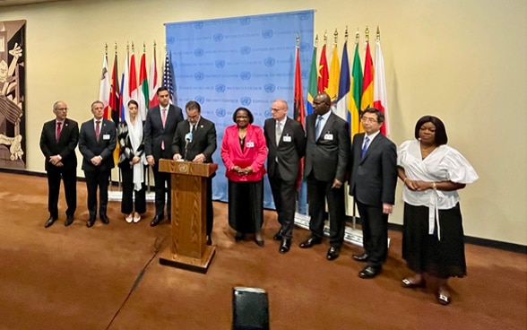 The ten elected members of the Security Council. Federal Councillor Ignazio Cassis represented Switzerland.