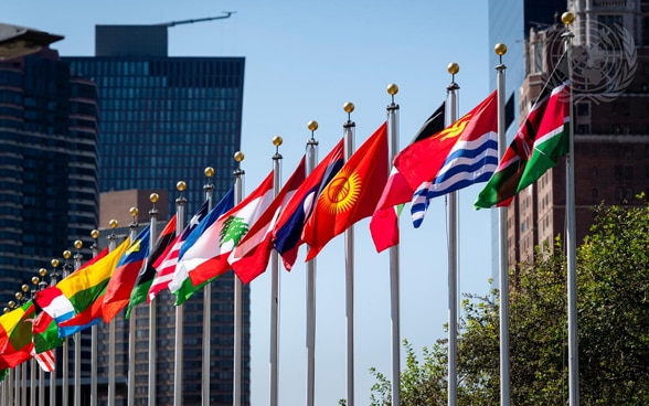 Country flags fly in the wind in front of the UN headquarters in New York.