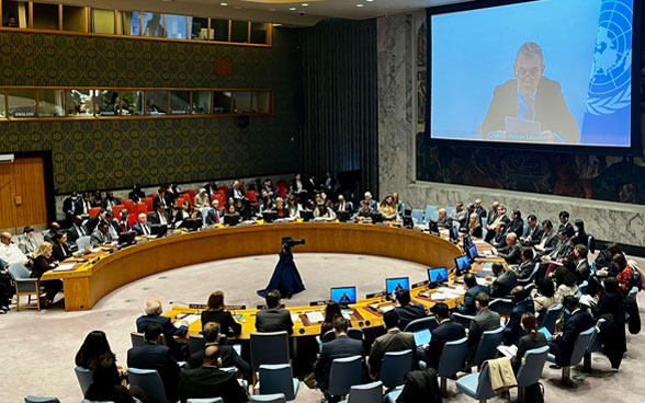 Blick in den Saal des UNO-Sicherheitsrats.