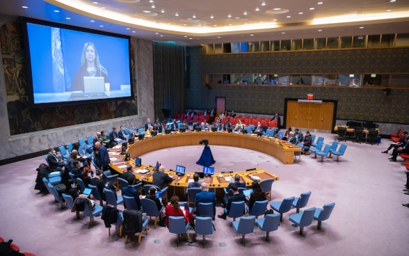 View of the horseshoe-shaped table of the UN Security Council.