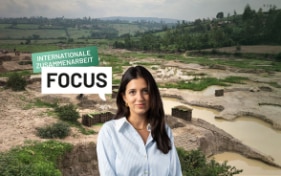 FOCUS – Internationale Zusammenarbeit