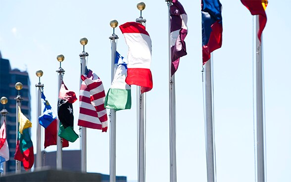 Image of member states’ flags flying in front of United Nations headquarters in New York.