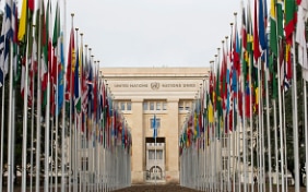 Illustration des drapeaux des États membres des Nations Unies flottant devant le Palais des Nations à Genève en 2014