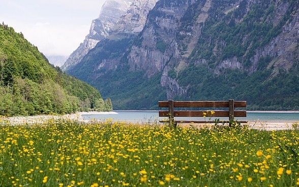 A bench on a field in the mountains.