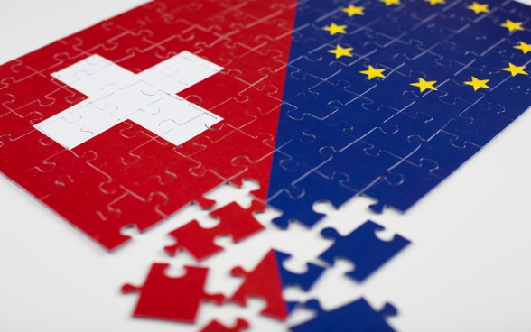 Puzzle Svizzera e UE