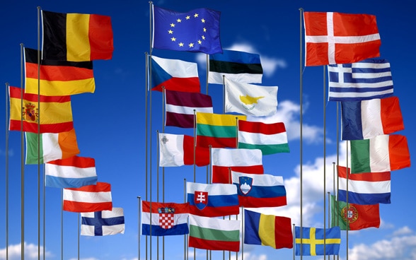 Sur l'image, on peut voir les drapeaux des États membres de l'UE.