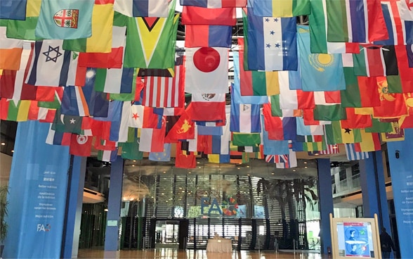 Entrance of FAO headquarters in Rome with country flags hanging down from the ceiling..