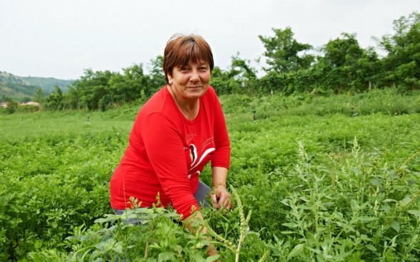 Eine Frau in einem Gemüsegarten