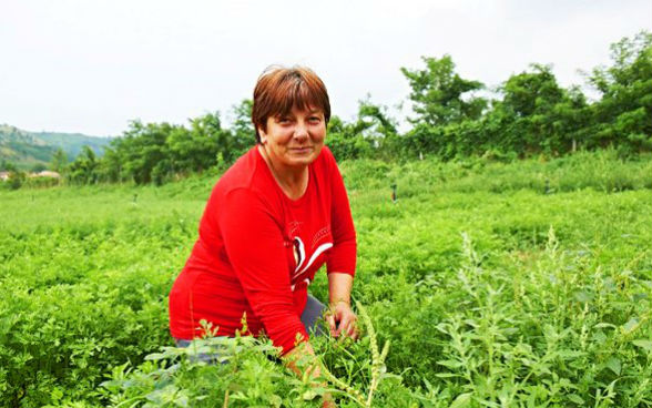 Una donna in un campo.