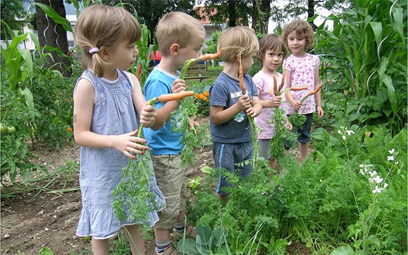 Groupe d’enfants jouant dans un potager scolaire bio en Slovénie